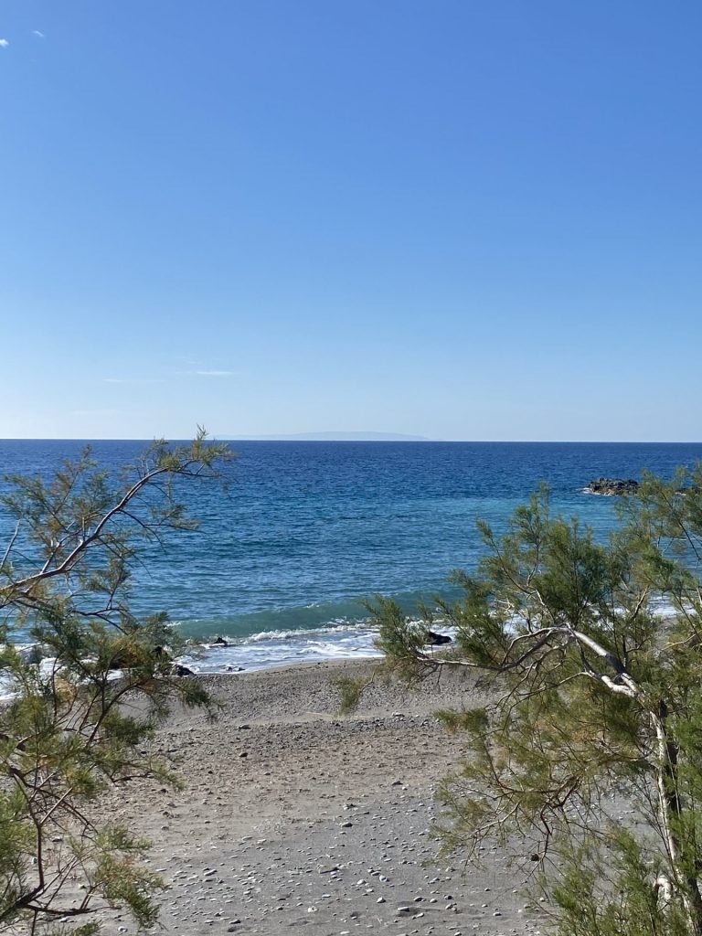 virginmary-taverna-Copy-of-IMG_6765-opt